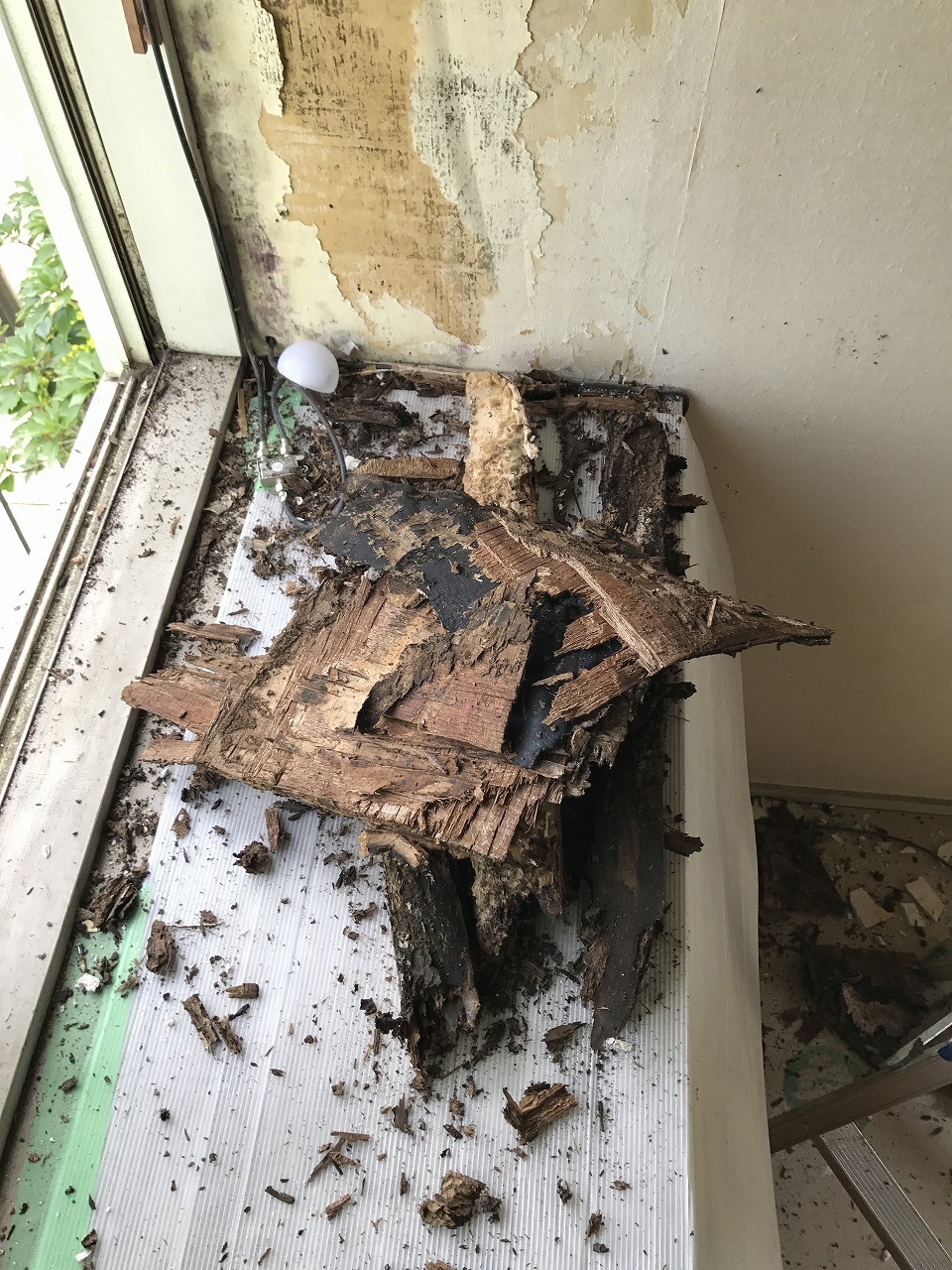 屋根板金の劣化破損