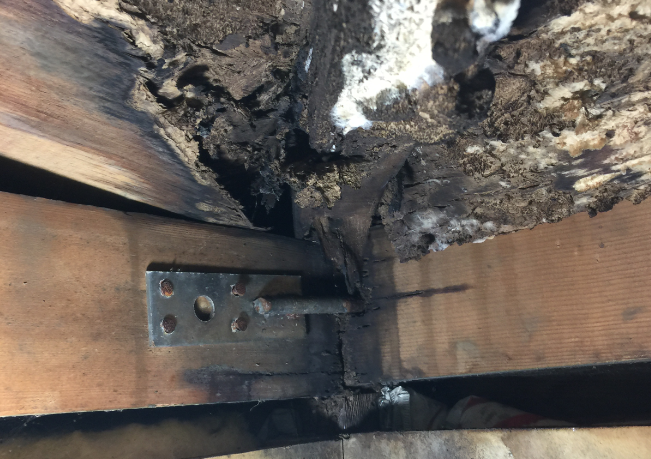 小平市花小金井のワークスコーポレーション　雨漏りで腐食した木材の事例